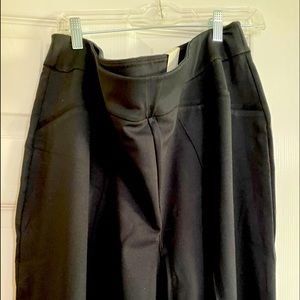 Women’s Plus Size Pants.   Inseam app. 31 inches